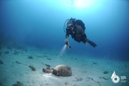 Try scuba diving program SSI