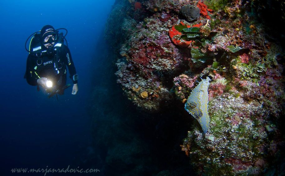 Try scuba diving program SSI 5