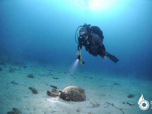 Try scuba diving program SSI